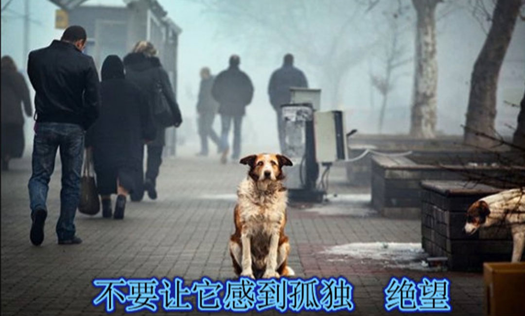 三明三明爱影圈微博微信转发案例